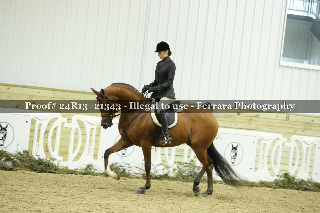 Proof 24R13_21343
