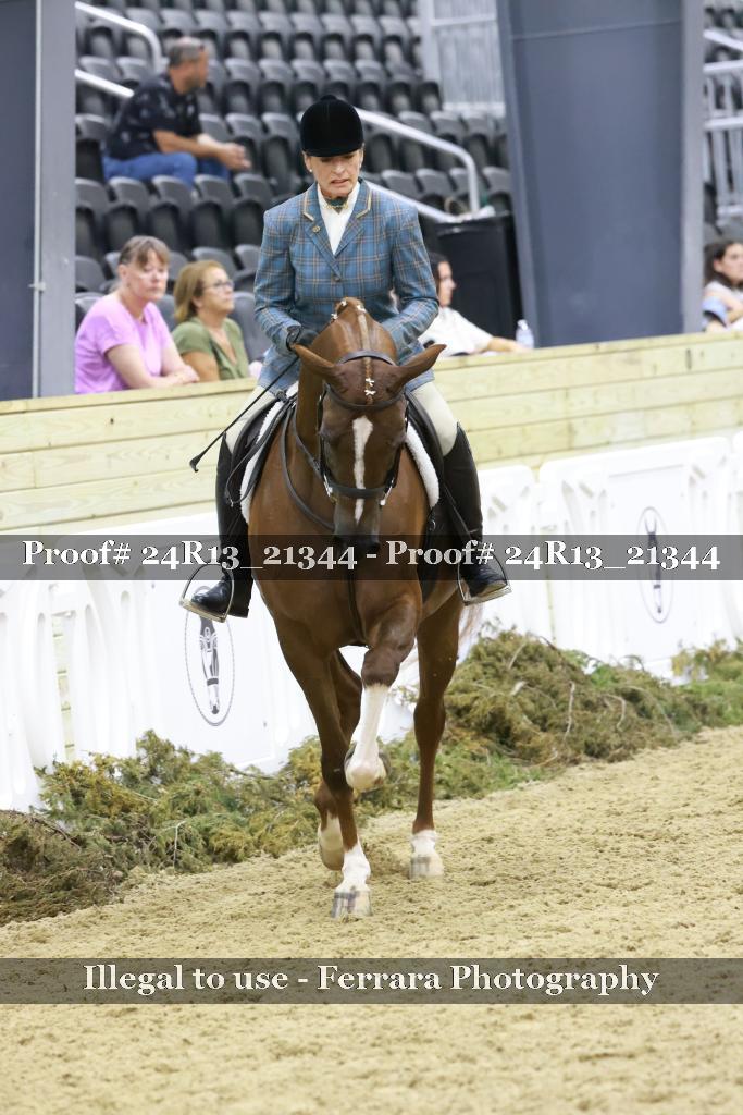 Proof 24R13_21344