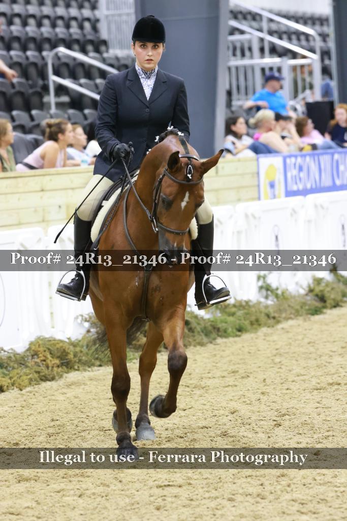 Proof 24R13_21346