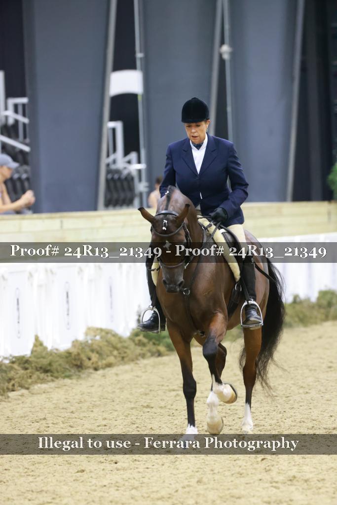 Proof 24R13_21349