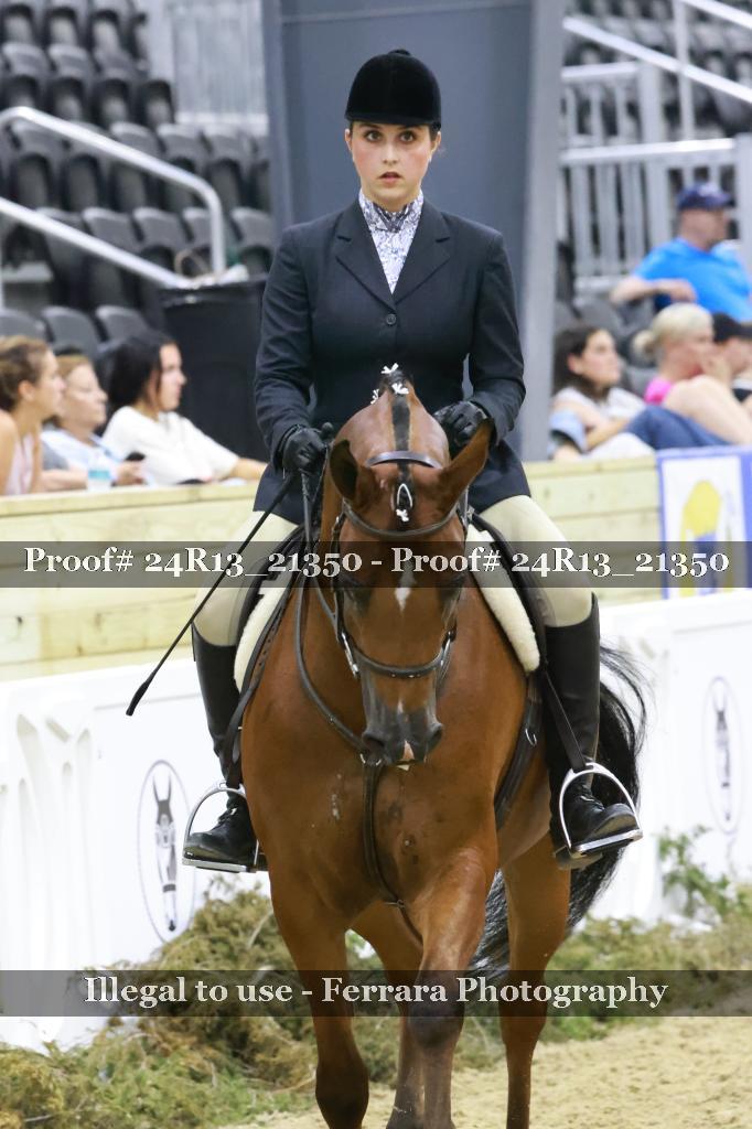 Proof 24R13_21350