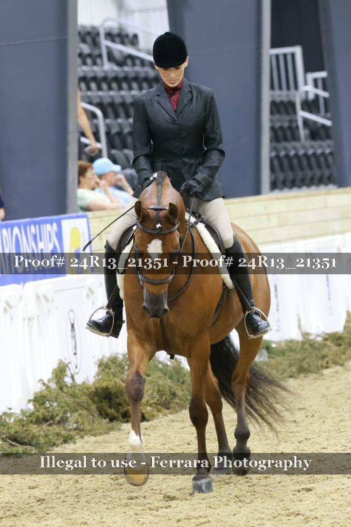 Proof 24R13_21351