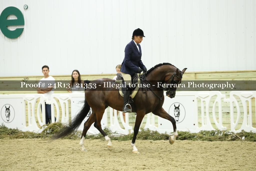 Proof 24R13_21353