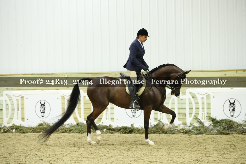 Proof 24R13_21354