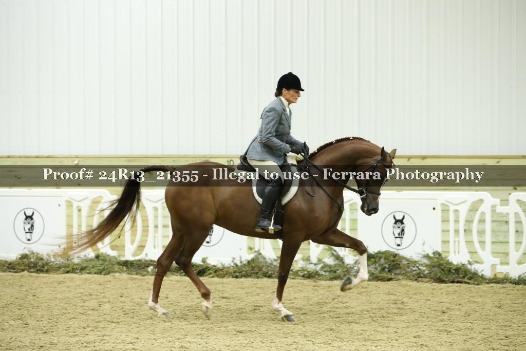 Proof 24R13_21355