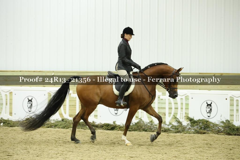 Proof 24R13_21356