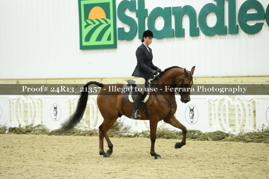 Proof 24R13_21357