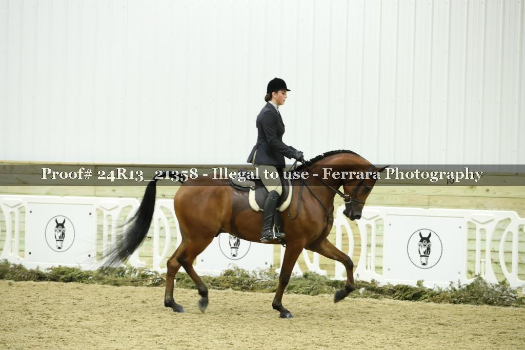 Proof 24R13_21358