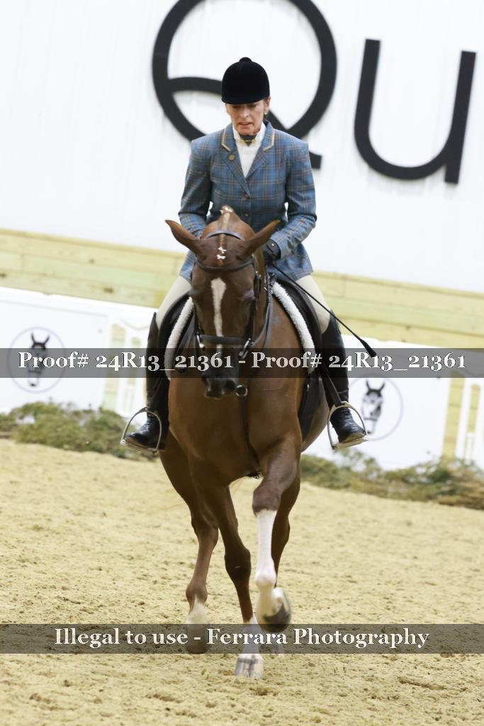 Proof 24R13_21361