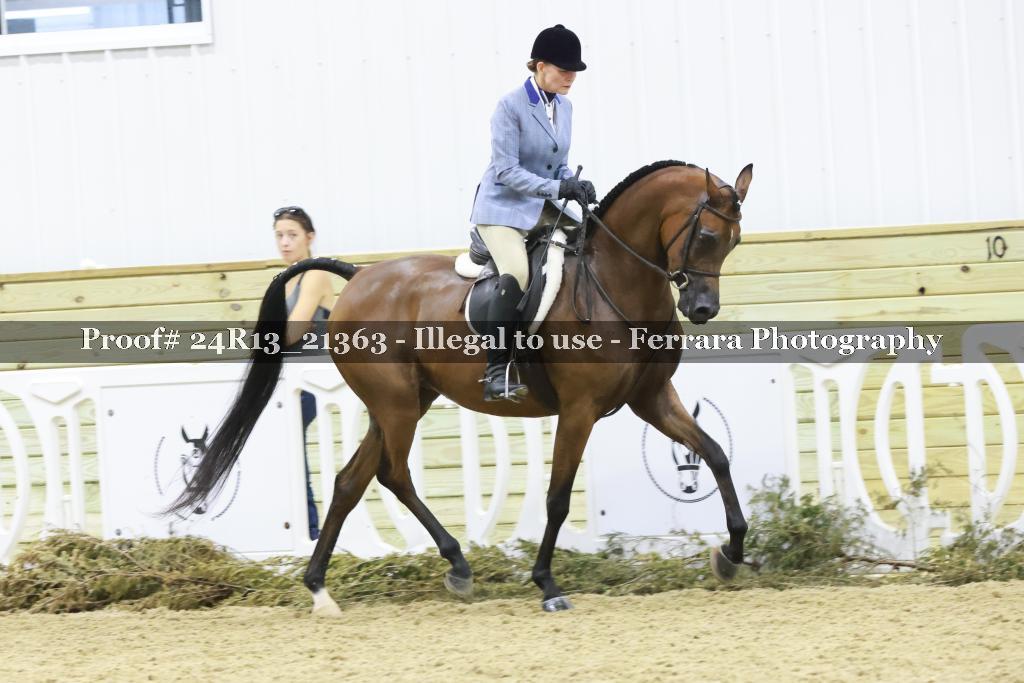 Proof 24R13_21363