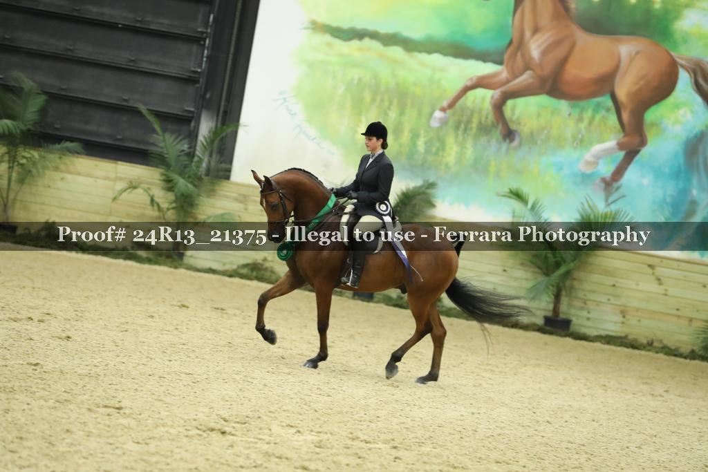 Proof 24R13_21375