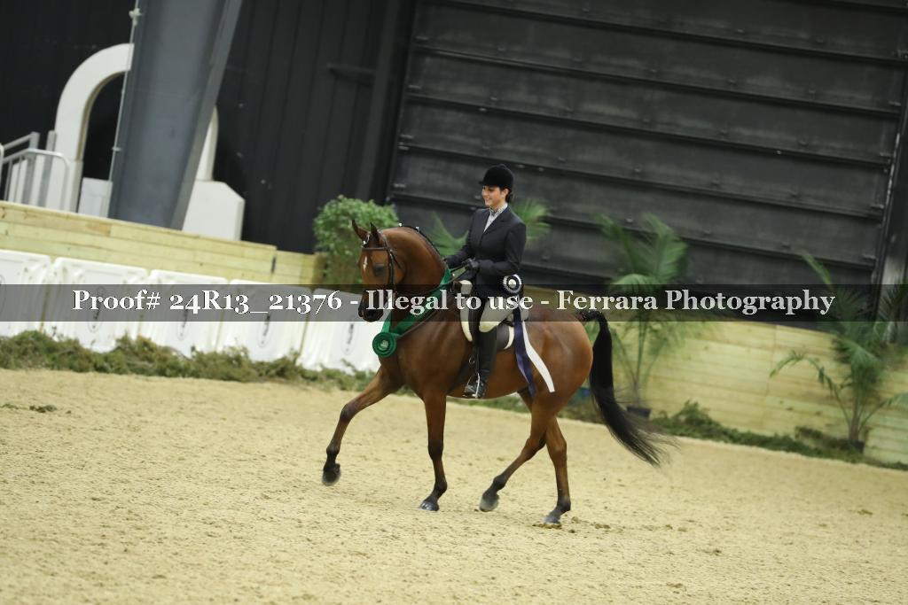 Proof 24R13_21376