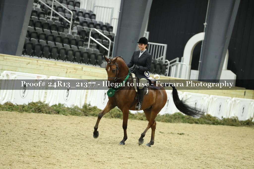 Proof 24R13_21377