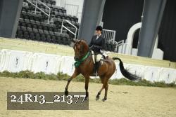 24R13_21377 proof