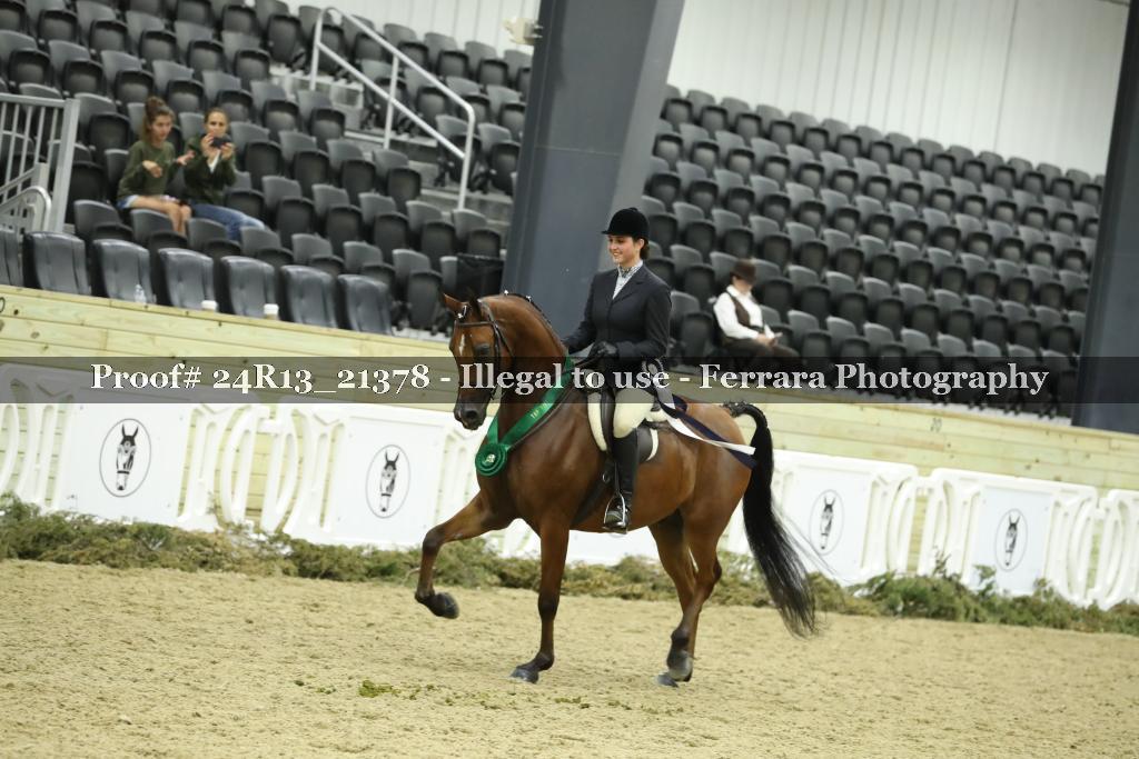 Proof 24R13_21378