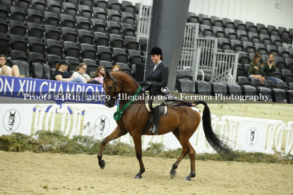 Proof 24R13_21379