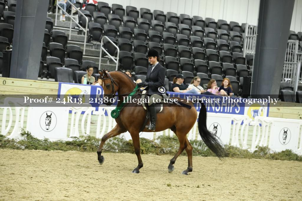 Proof 24R13_21380