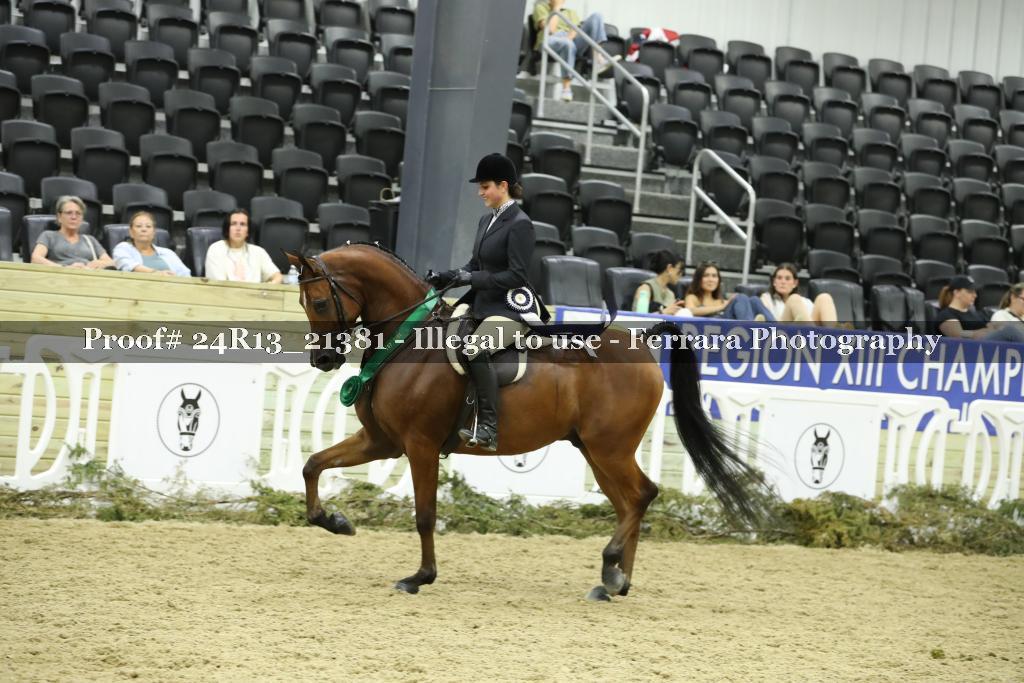 Proof 24R13_21381