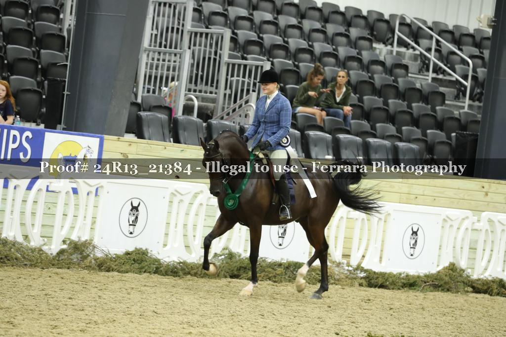 Proof 24R13_21384