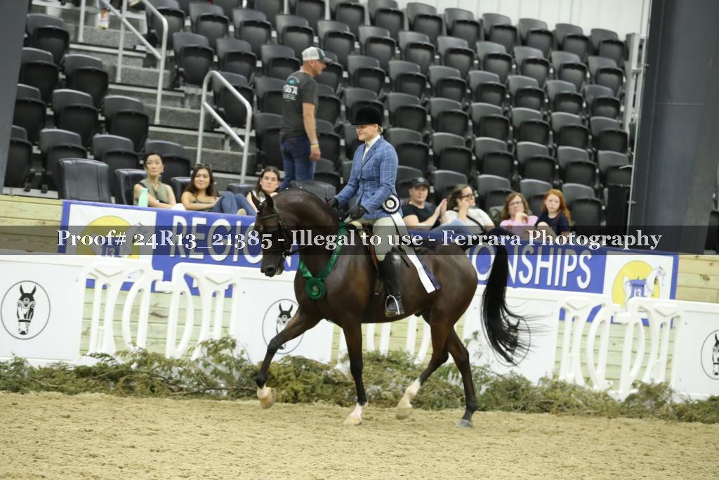 Proof 24R13_21385