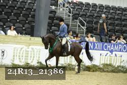 24R13_21386 proof