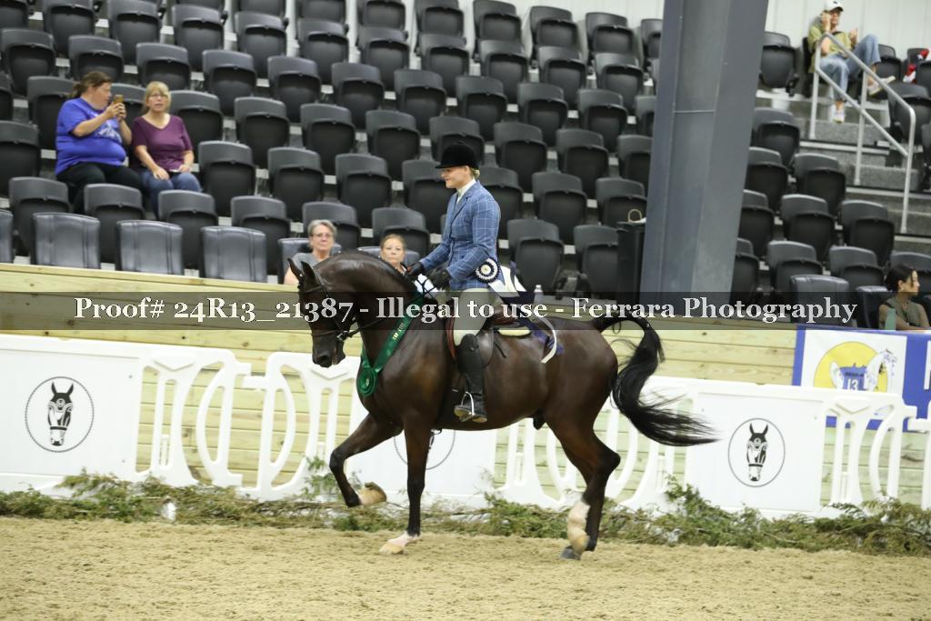 Proof 24R13_21387