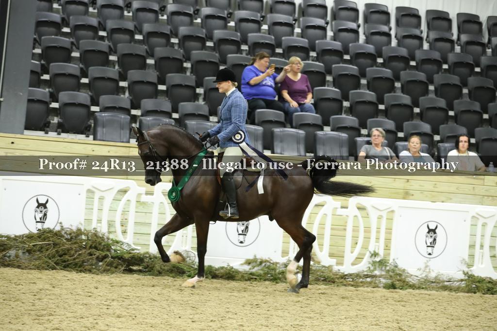 Proof 24R13_21388