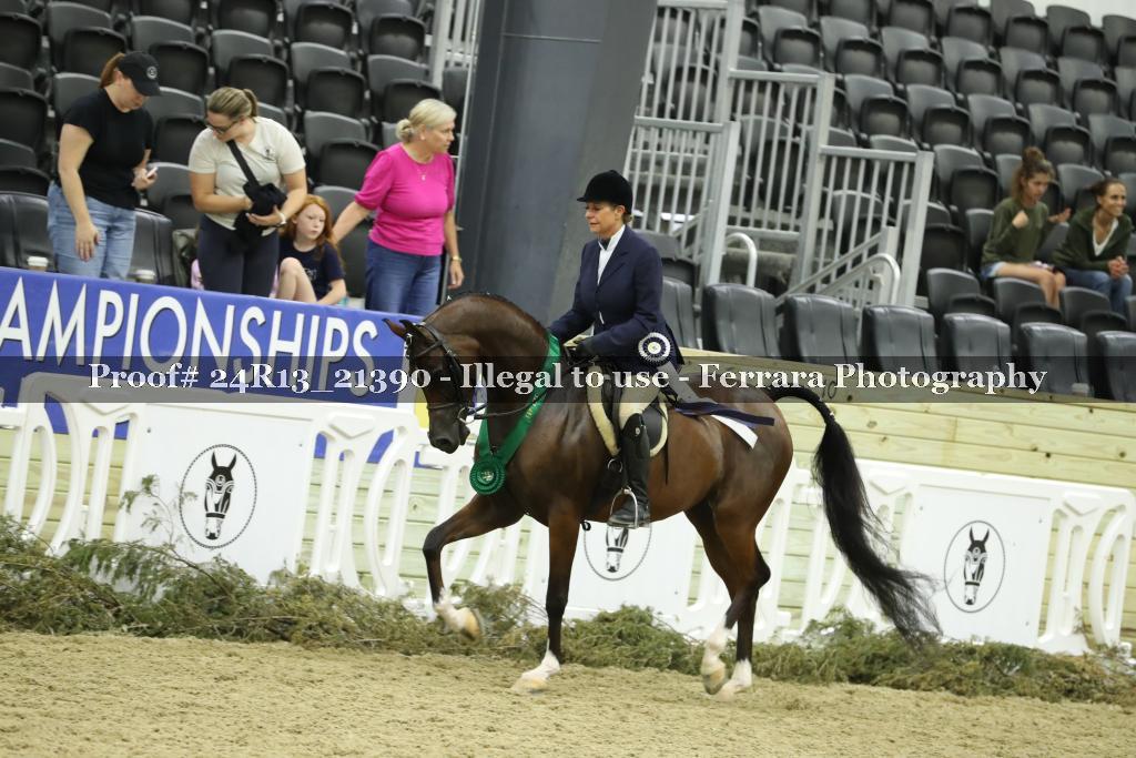 Proof 24R13_21390