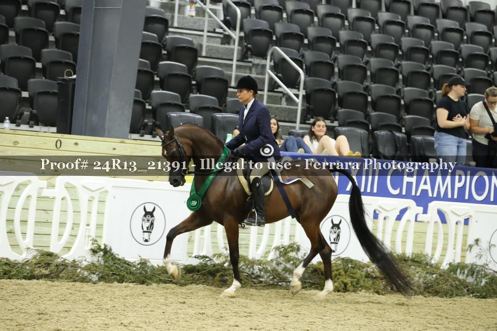 Proof 24R13_21391