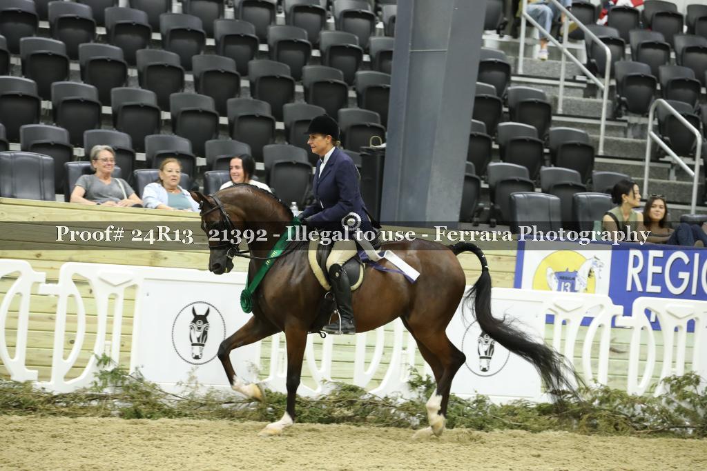Proof 24R13_21392