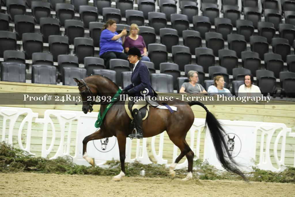 Proof 24R13_21393
