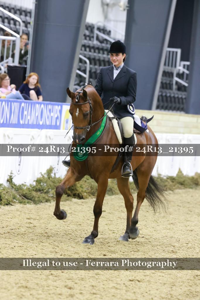Proof 24R13_21395