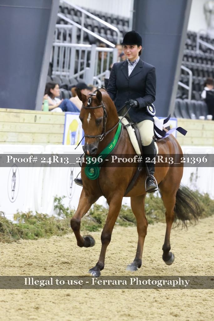 Proof 24R13_21396