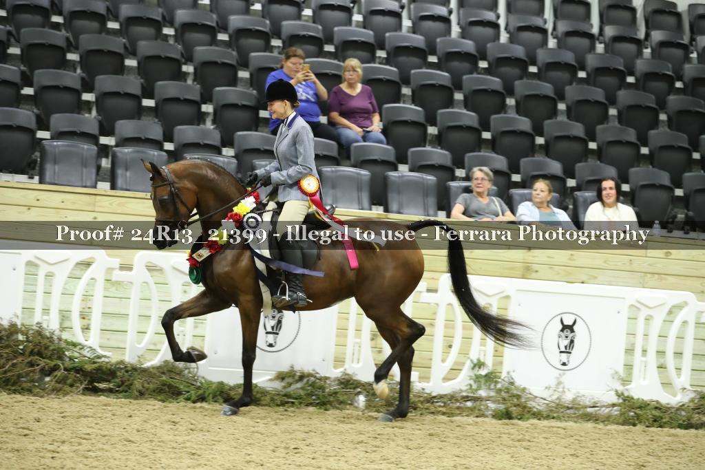 Proof 24R13_21399