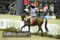 24R13_21402 proof