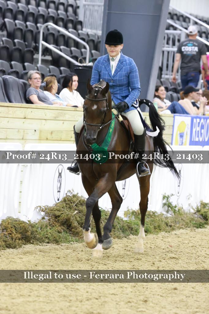 Proof 24R13_21403