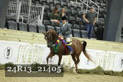 24R13_21405 proof