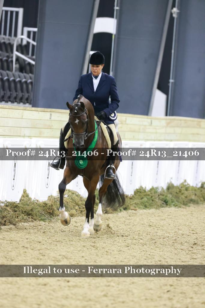 Proof 24R13_21406