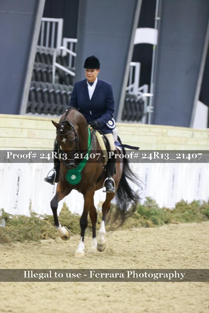 Proof 24R13_21407