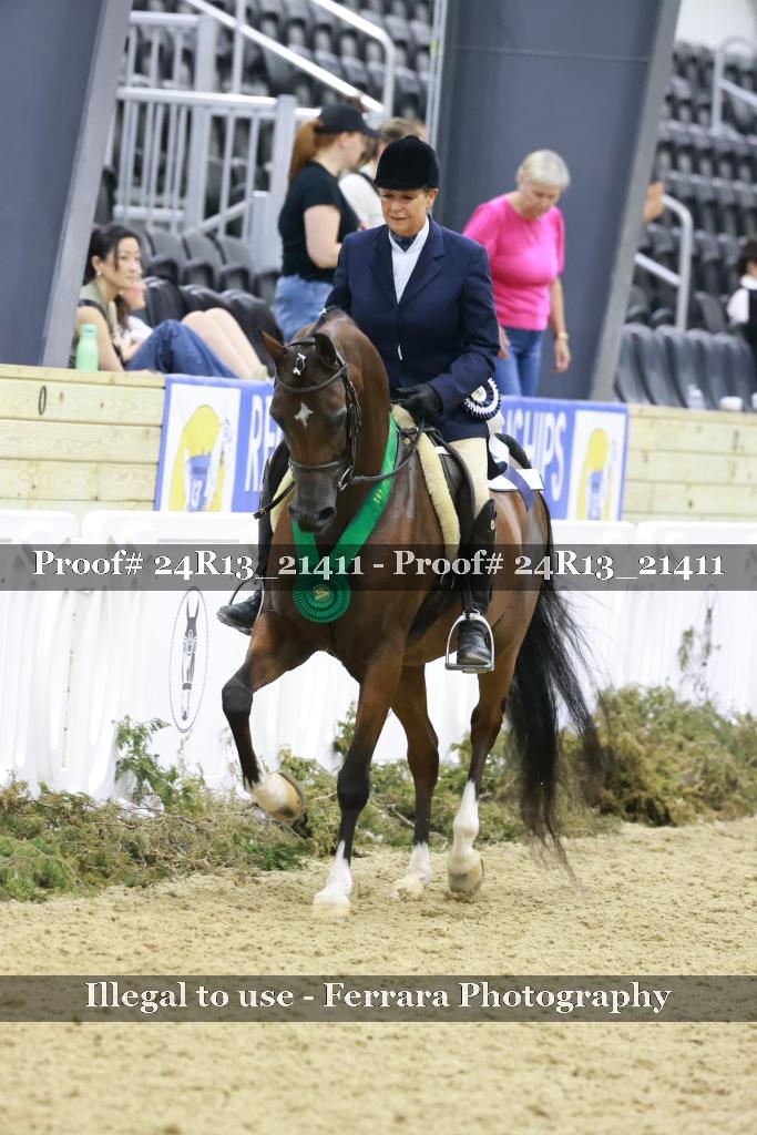 Proof 24R13_21411