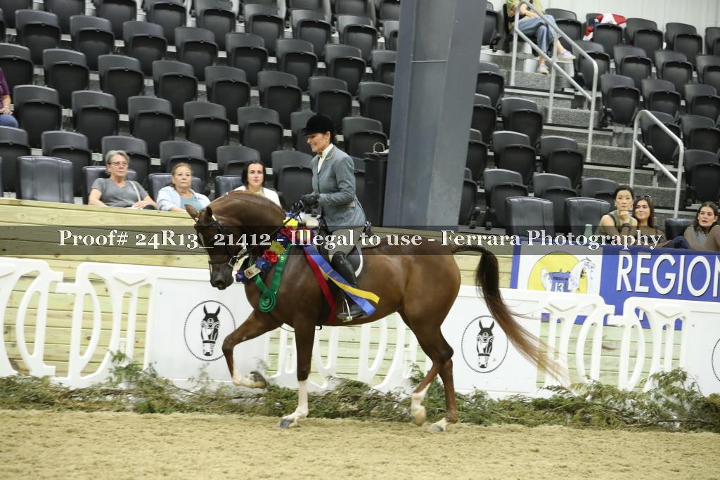 Proof 24R13_21412