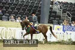 24R13_21412 proof