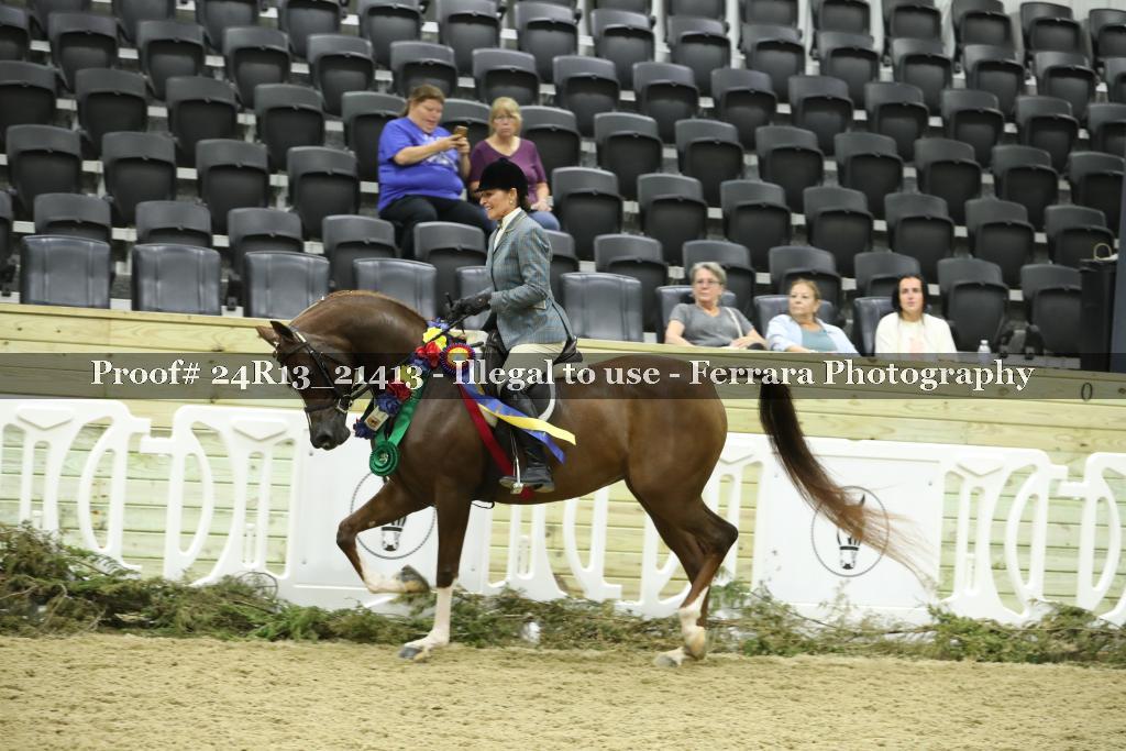Proof 24R13_21413