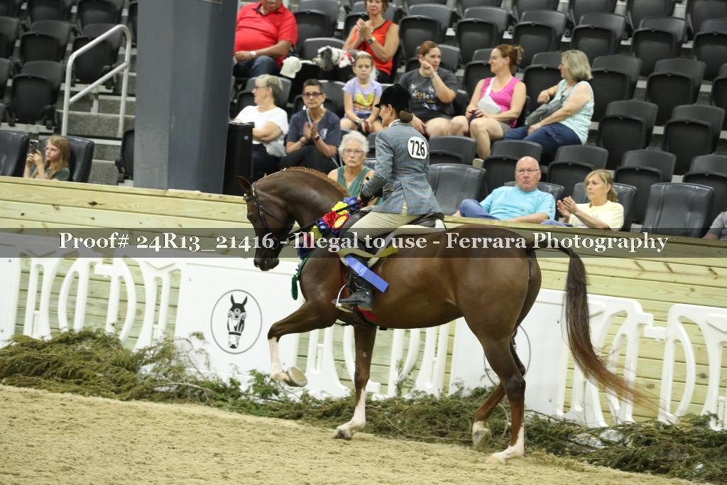 Proof 24R13_21416