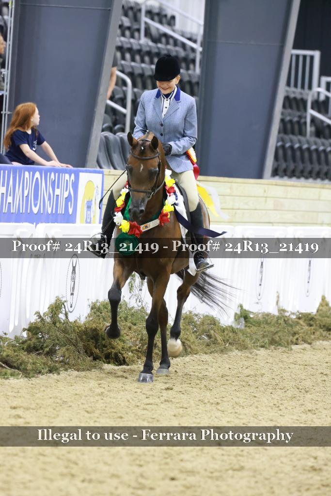 Proof 24R13_21419