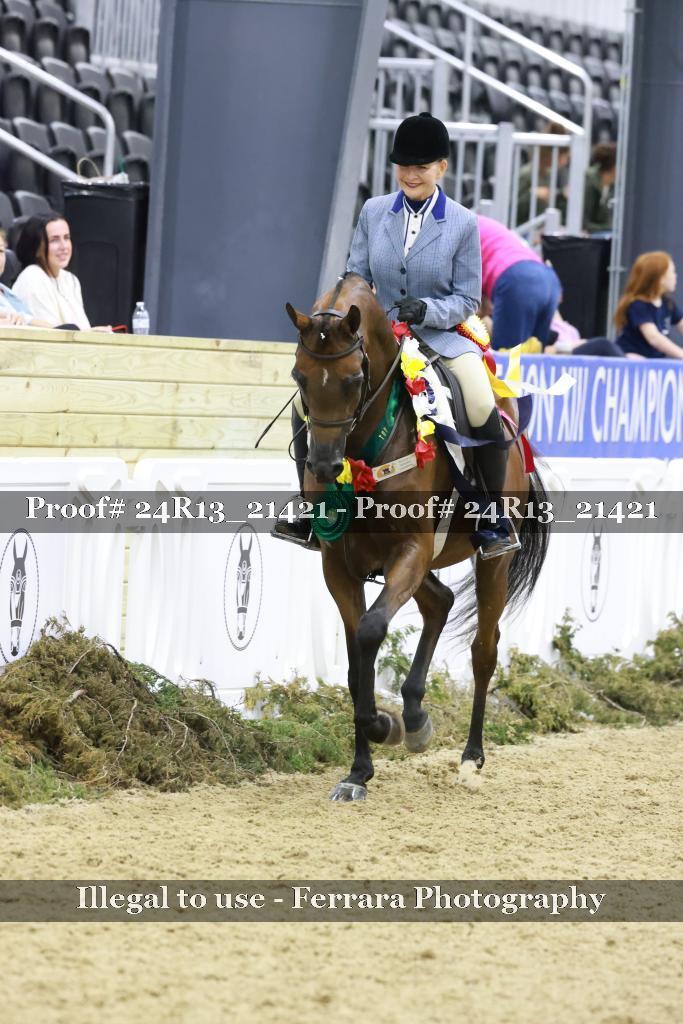 Proof 24R13_21421