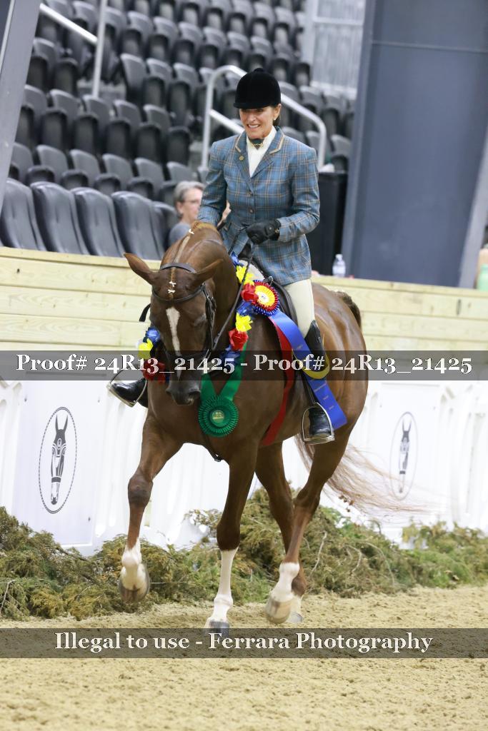 Proof 24R13_21425