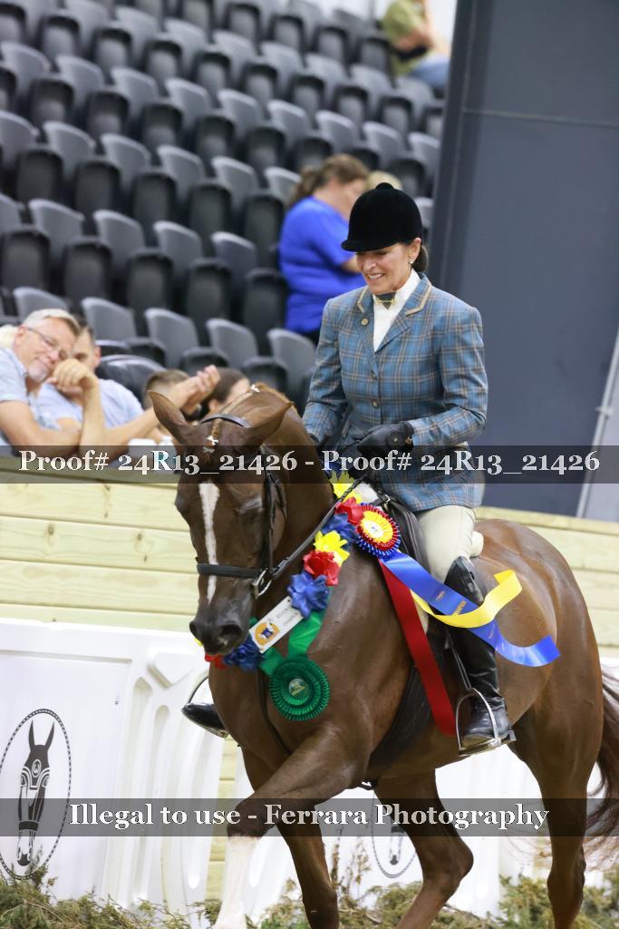 Proof 24R13_21426