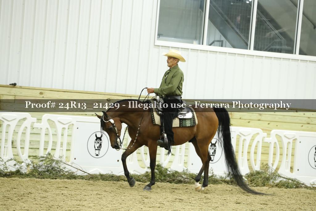Proof 24R13_21429