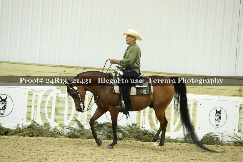 Proof 24R13_21431